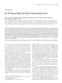 Do We Know What the Early Visual System Does?