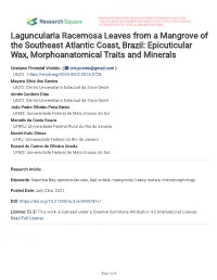 Epicuticular Wax, Morphoanatomical Traits and Minerals