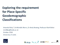 Exploring the Requirement for Place-Specific Geodemographic Classifications