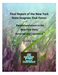 Final Report of the New York State Seagrass Task Force