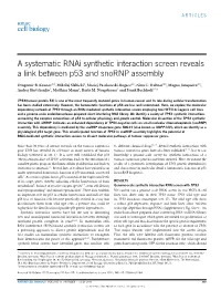 A Systematic Rnai Synthetic Interaction Screen Reveals a Link Between P53 and Snornp Assembly