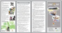 Piertopierñleaflet Layout 1