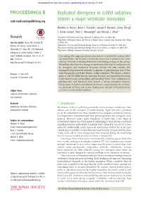 Replicated Divergence in Cichlid Radiations Mirrors a Major