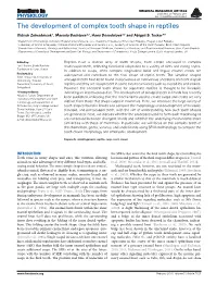 The Development of Complex Tooth Shape in Reptiles