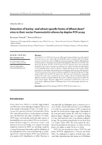 And Wheat-Specific Forms of Wheat Dwarf Virus in Their Vector Psammotettix Alienus by Duplex PCR Assay