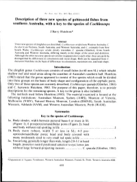 Description of Three New Species of Gobiesocid Fishes from Southern Australia, with a Key to the Species of Cochleoceps