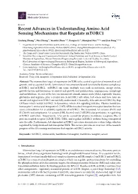 Recent Advances in Understanding Amino Acid Sensing Mechanisms That Regulate Mtorc1