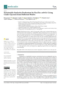 Sustainable Surfactin Production by Bacillus Subtilis Using Crude Glycerol from Different Wastes