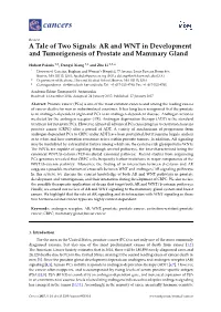 A Tale of Two Signals: AR and WNT in Development and Tumorigenesis of Prostate and Mammary Gland
