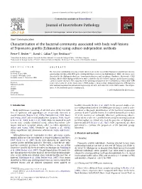 Echinoidea) Using Culture-Independent Methods