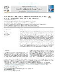Identifying and Creating Pathways to Improve Biological Lignin Valorization T ⁎ Zhi-Hua Liua,B,1, Rosemary K