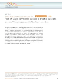 Fear of Large Carnivores Causes a Trophic Cascade