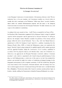 What Does the European Commission Do?