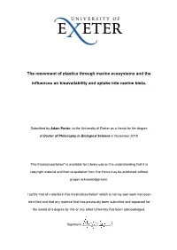 Adam Porter Full Thesis Corrected Final.Pdf (PDF, 11.85Mb)