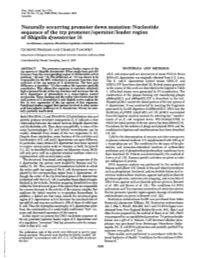 Nucleotide Sequence of the Trp Promoter/Operator/Leader Region of Shigella Dysenteri