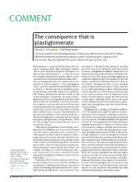 The Consequence That Is Plastiglomerate