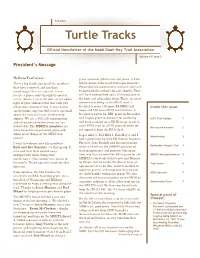 Turtle Tracks