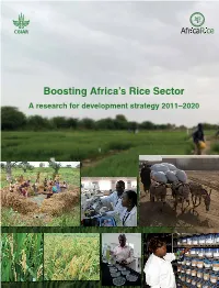 Boosting Africa's Rice Sector 2011-2020