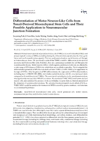 Differentiation of Motor Neuron-Like Cells from Tonsil-Derived