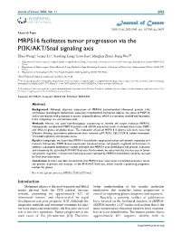 MRPS16 Facilitates Tumor Progression Via the PI3K/AKT/Snail Signaling Axis Zhen Wang1*, Junjun Li2*, Xiaobing Long1, Liwu Jiao3, Minghui Zhou1, Kang Wu1