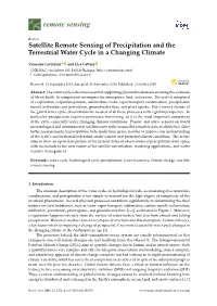 Satellite Remote Sensing of Precipitation and the Terrestrial Water Cycle in a Changing Climate