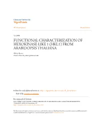 FUNCTIONAL CHARACTERIZATION of HEXOKINASE-LIKE 1 (HKL1) from ARABIDOPSIS THALIANA Abhijit Karve Clemson University, Akarve@Clemson.Edu