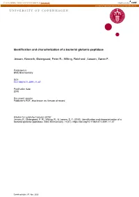 Identification and Characterization of a Bacterial Glutamic Peptidase