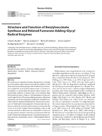 Structure and Function of Benzylsuccinate Synthase and Related Fumarate-Adding Glycyl Radical Enzymes