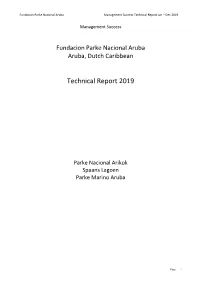 Technical Report 2019