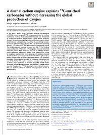 A Diurnal Carbon Engine Explains 13C-Enriched Carbonates