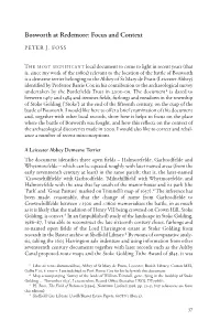 Bosworth at Redemore: Focus and Context