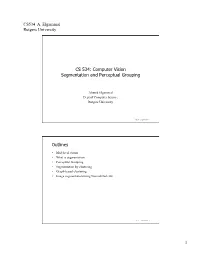 Computer Vision Segmentation and Perceptual Grouping