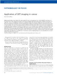 Application of GFP Imaging in Cancer Robert M Hoffman