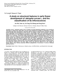 A Study on Structural Features in Early Flower Development of Jatropha Curcas L