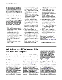 Cell Adhesion: a FERM Grasp of the Tail Sorts out Integrins