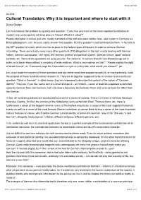 Cultural Translation: Why It Is Important and Where to Start with It 09.01.12 09:13