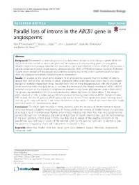 Parallel Loss of Introns in the ABCB1 Gene in Angiosperms Rajiv K