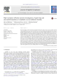 High-Resolution Reflection Seismic Investigations of Quick