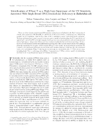 Identification of Rnase T As a High-Copy Suppressor of the UV