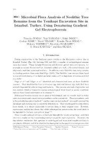 〔報告〕 Microbial Flora Analysis Ofneolithic Tree Remains from the Yenikapi Excavation Site in Istanbul, Turkey, Using Dena