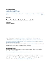 Power Amplification Strategies Across Animals