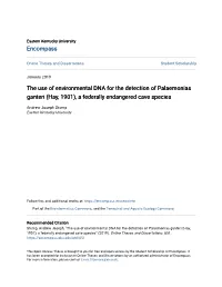 The Use of Environmental DNA for the Detection of Palaemonias Ganteri (Hay, 1901), a Federally Endangered Cave Species