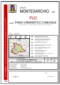 VAS in Data 02/10/2009 Con Prot