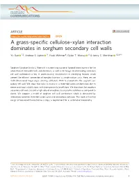 Xylan Interaction Dominates in Sorghum Secondary Cell Walls ✉ Yu Gao 1,2, Andrew S
