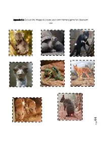 Appendix F.1: Cut out the Images to Create Your Own Memory Game for Classroom Use
