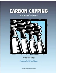 Carbon Capping: a Citizen's Guide
