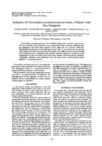 Isolation of Clostridium Pseudotetanicum from a Patient with Gas Gangrene