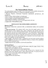 Lecture 15 احمد فاضل د. the Submandibular Region