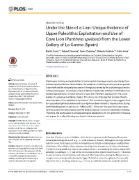 Under the Skin of a Lion: Unique Evidence of Upper Paleolithic Exploitation and Use of Cave Lion (Panthera Spelaea) from the Lower Gallery of La Garma (Spain)