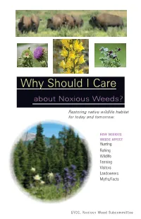 Why Should I Care About Noxious Weeds?